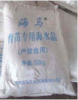 海水晶 南美對(duì)蝦育苗